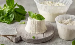 Jak wygląda ser ricotta: świeży, biały serek w kształcie stożka, ozdobiony listkiem bazylii, obok naczynia z serem i gałązka bazylii.