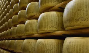 Jak powstaje parmezan - sekrety tradycyjnej produkcji sera