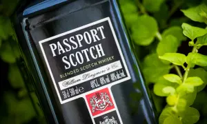 Butelka szkockiej whisky Passport Scotch, z zielonymi liśćmi w tle. Ten alkohol to idealny towarzysz podróży.