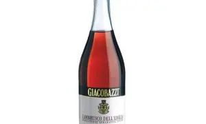 Gdzie kupić wino lambrusco? Sprawdź najlepsze oferty online
