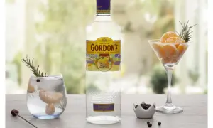 Gordon's alkohol: butelka ginu, drink z mandarynką i rozmarynem, kieliszek z mandarynką i rozmarynem, miseczka z jałowcem.
