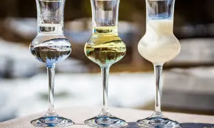 Trzy kieliszki z napojami: przezroczysty, żółty i mleczny. W pierwszym odbija się zimowy krajobraz, jakby to była grappa bianca.