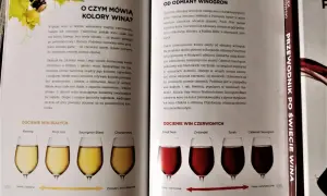 Kolor jak wino: odkryj tajemnice odcieni i ich znaczenie